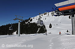 F065475: Gondelbahn bei Mägisalp