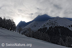 F065813: Bergkonturen als Schatten in Nebel