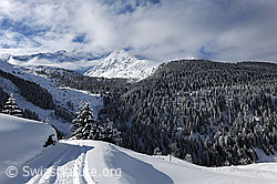 F065832: Neuschnee in den Bergen