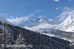 F065841: Nebelreste in den Bergen