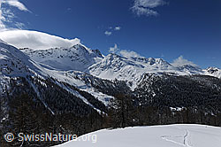F065861: Schnee in den Bergen
