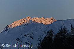 F065885: Morgenstimmung