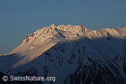 F065888: Morgenstimmung in den Bergen