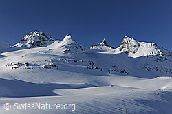 F065905: Licht und Schatten in Winterlandschaft