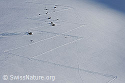 F065919: Aufstiegsspuren