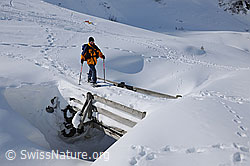 F065952: Schneeschuhläuferin auf Brücke