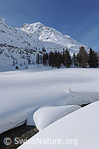 F065960: Schneedecke