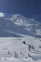 F065977: Schneefläche mit Lärchen