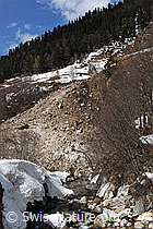 F066017: Bergbach und Lawinenkegel