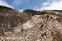 F066030: Lawinenholz