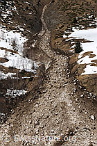 F066038: Lawinenzug und Lawinenkegel