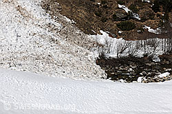 F066045: Lawinenkegel und Bachbett