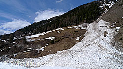 F066057: Lawinenkegel im Talgrund