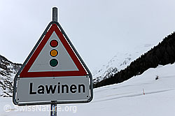 F066061: Naturgefahr Lawinen: Warnsignal für Lawinen