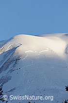 F066066: Schneebrett