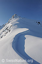 F066185: Geschwungene Wächte an Grat