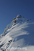 F066190: Verwehungen an Grataufschwung