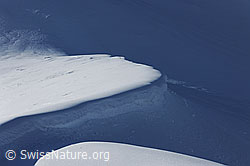 F066201: Lichtspiel und Formen im Schnee