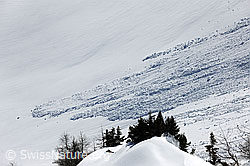 F066204: Nassschneerutsch