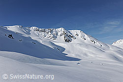 F066220: Unberührte Berglandschaft