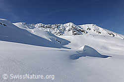 F066222: Weite schneebedeckte Fläche
