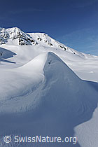 F066229: Wächte in Winterlandschaft