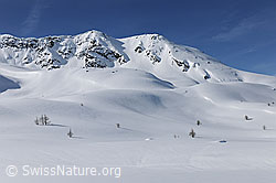 F066241: Schneebedeckte, unberührte Berglandschaft