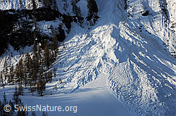 F067107: Naturgewalt Lawine