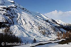 F067110: Bergflanke und Lawinenkegel