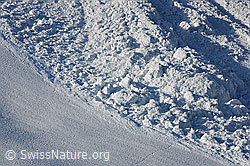 F067131: Rand eines Lawinenkegels