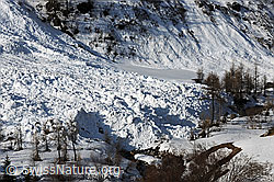 F067143: Lawinenkegel einer Nassschneelawine