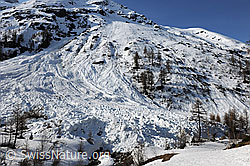 F067153: Nassschneelawine