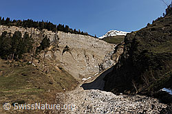 F067165: Lawinenkegel vor Felswand