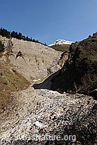 F067167: Lawinenkegel in Taleinschnitt