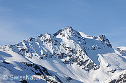 F067499: Schwarzhorn