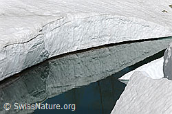 F067929: Schneerand mit Spiegelung