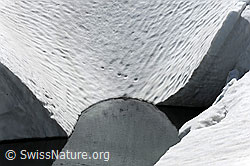 F067938: Formen, Licht und Schatten