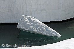F067942: Eisscholle mit Spiegelung