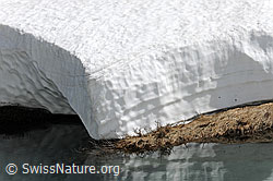 F067944: Ufer und Schneedecke