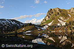 F068169: Morgenstimmung am Seebergsee