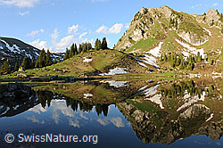 F068173: Spiegelung der Bergwelt im Seebergsee