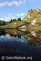 F068175: Stimmungsbild Seebergsee