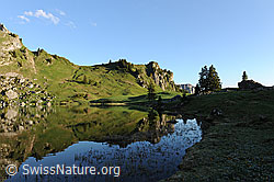 F068178: Am Ufer des Seebergsees