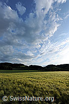 F068448: Wolkenhimmel