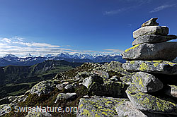 F068662: Steinmann vor Berner Alpen