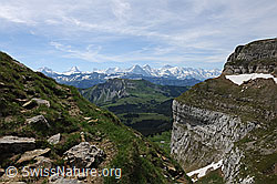 F068704: Aussicht vom Hohgant auf die Alpenkette der Berner Alpen