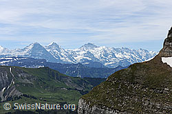 F068706: Dreigesterin Eiger, Mönch, Jungfrau vom Hohgant