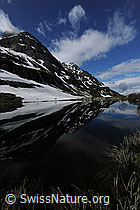 F068747: Spiegelung im Halsesee