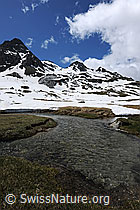 F068891: Berglandschaft und Wasserlauf