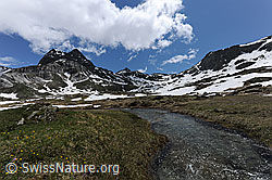 F068895: Wasserlauf in Berglandschaft